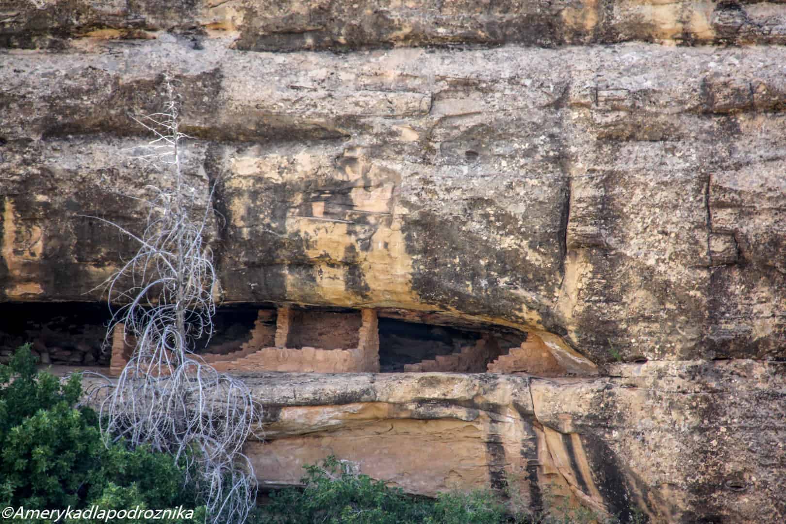 mesa verde