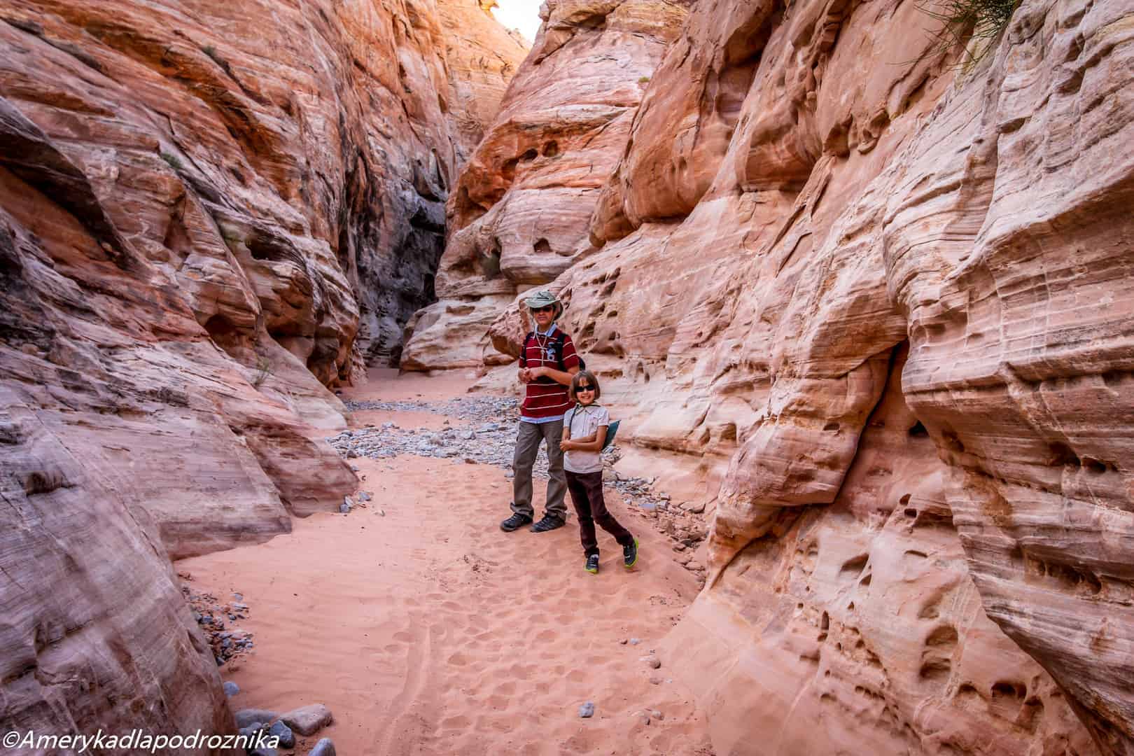 valley of fire, white domes trail