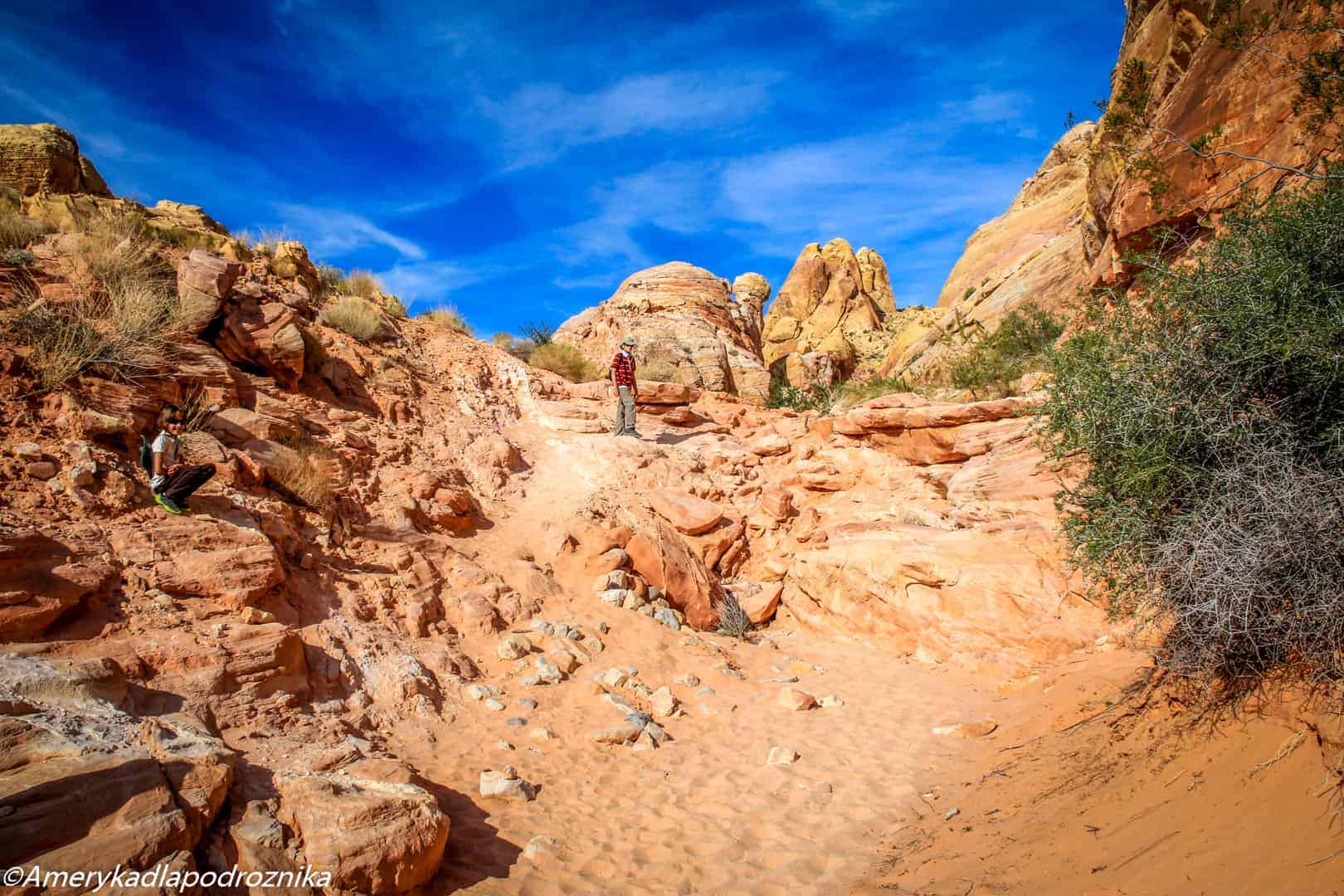 valley of fire, white domes trail