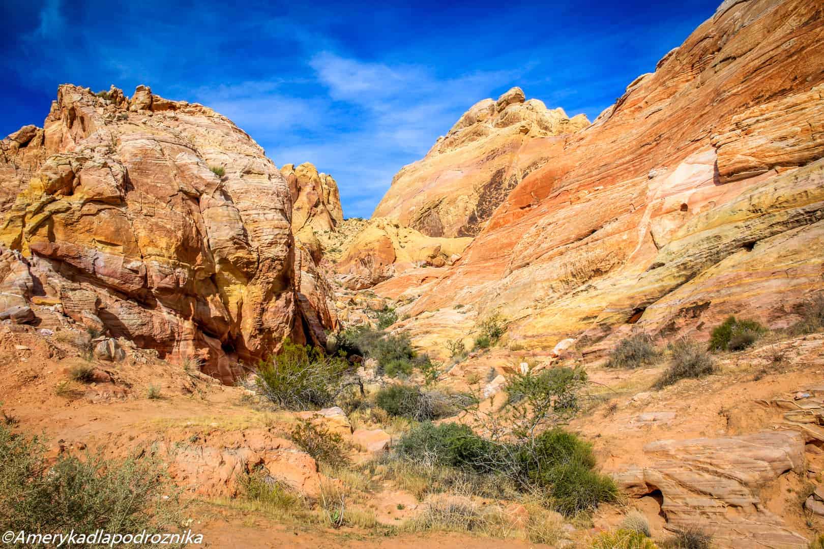 valley of fire, white domes trail