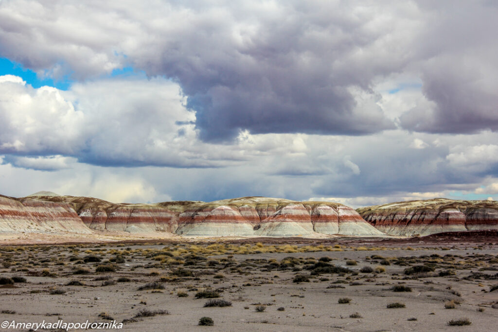 The Teepees Petrified Forest