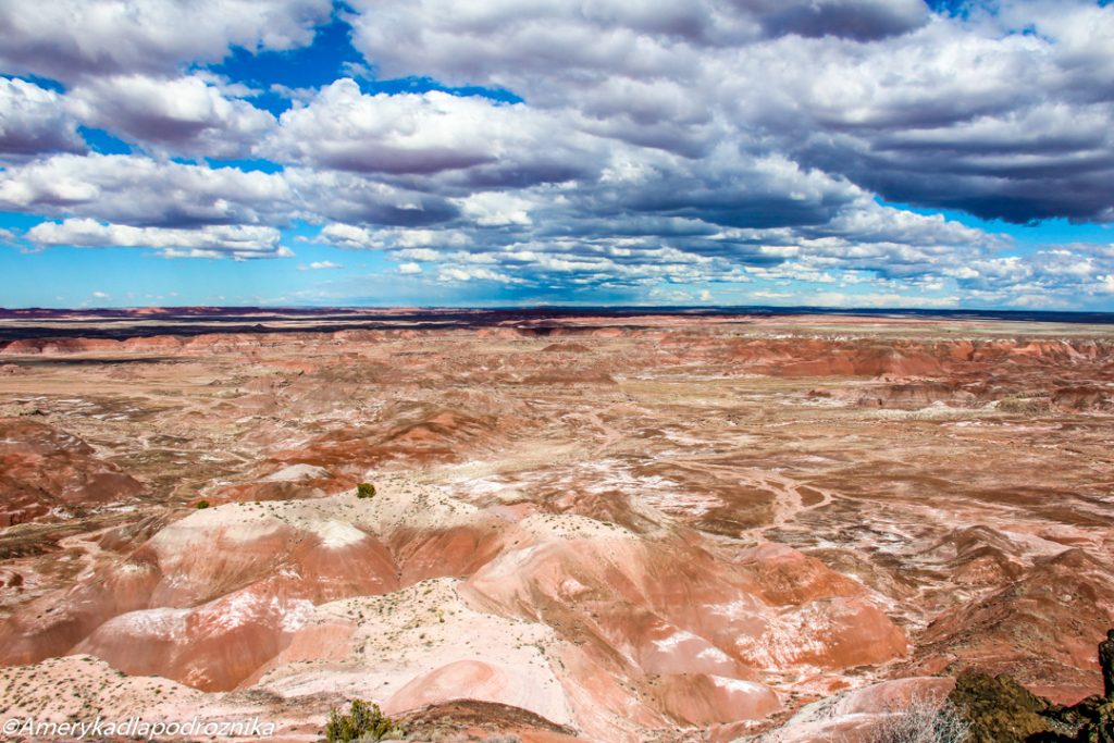 Painted Desert Petrified Forest