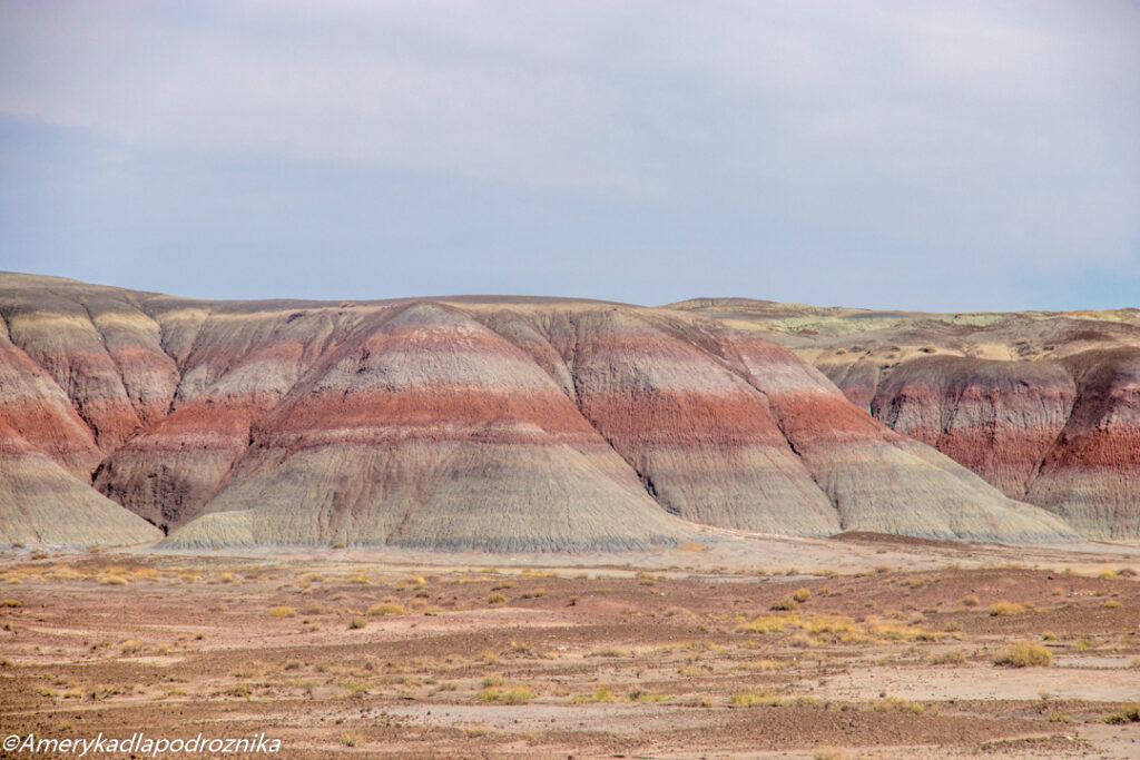 The Teepees Petrified Forest